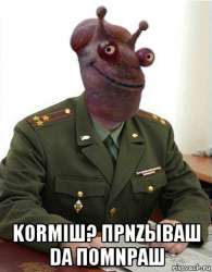 385x492