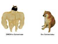 640x492