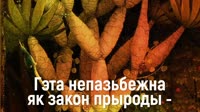 1280x720