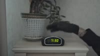 1280x720