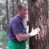 360x360