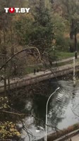 406x720