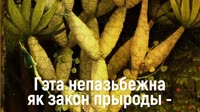 1280x720