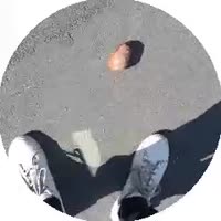 240x240
