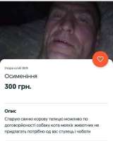 720x900