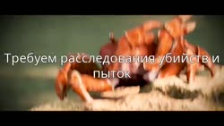 848x480