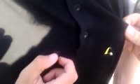600x360