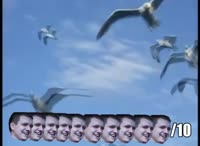 490x360