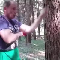 360x360