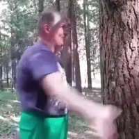 360x360