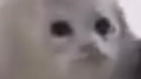 1280x720