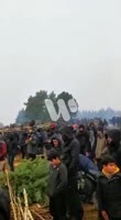 238x432