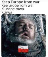 455x536