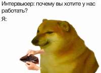 1080x788
