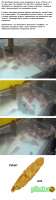 800x2827