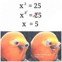640x640