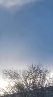 394x720