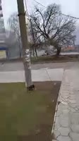 360x640