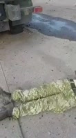 238x432