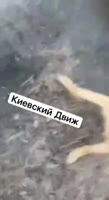 350x640