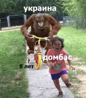 597x682