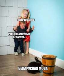 500x585