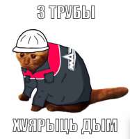 784x836
