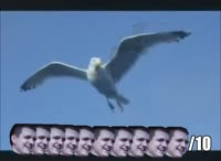 490x360
