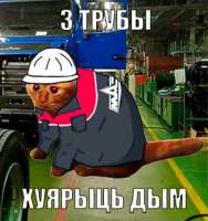 300x318
