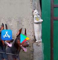 1236x1280