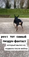 432x848