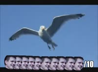 490x360