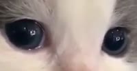 528x272