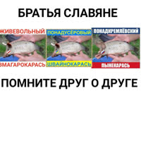 1075x1075