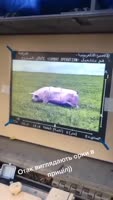 480x848