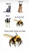 734x1280