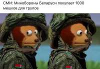 591x410