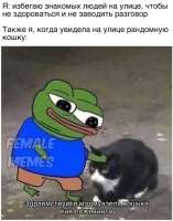 850x1080