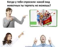 959x774