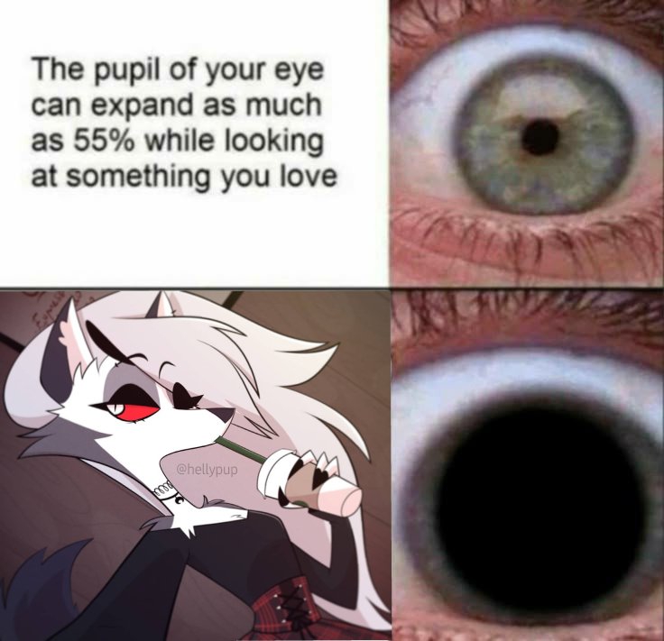 736x711