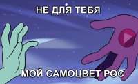 923x569