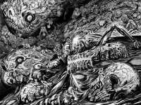 1200x905