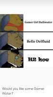 500x904