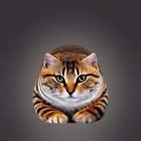 320x320