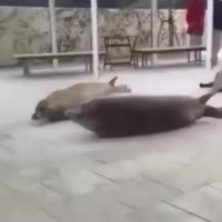360x360