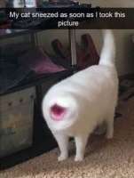 374x495