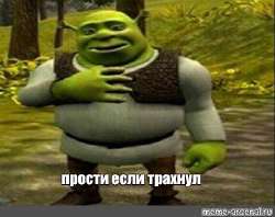 478x379