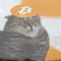 302x302