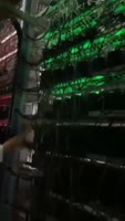 320x564