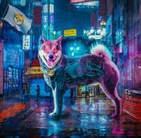 1080x1060
